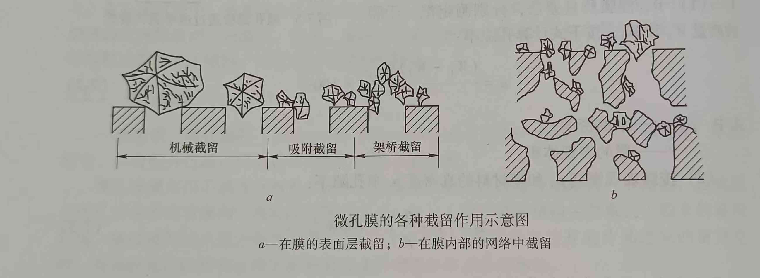 微孔濾膜的結構性能（微孔濾膜有哪些結構哪些性能）