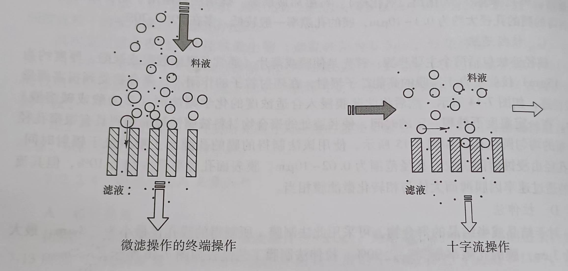 微孔濾膜的分離系統（什么是微孔濾膜的分離系統）